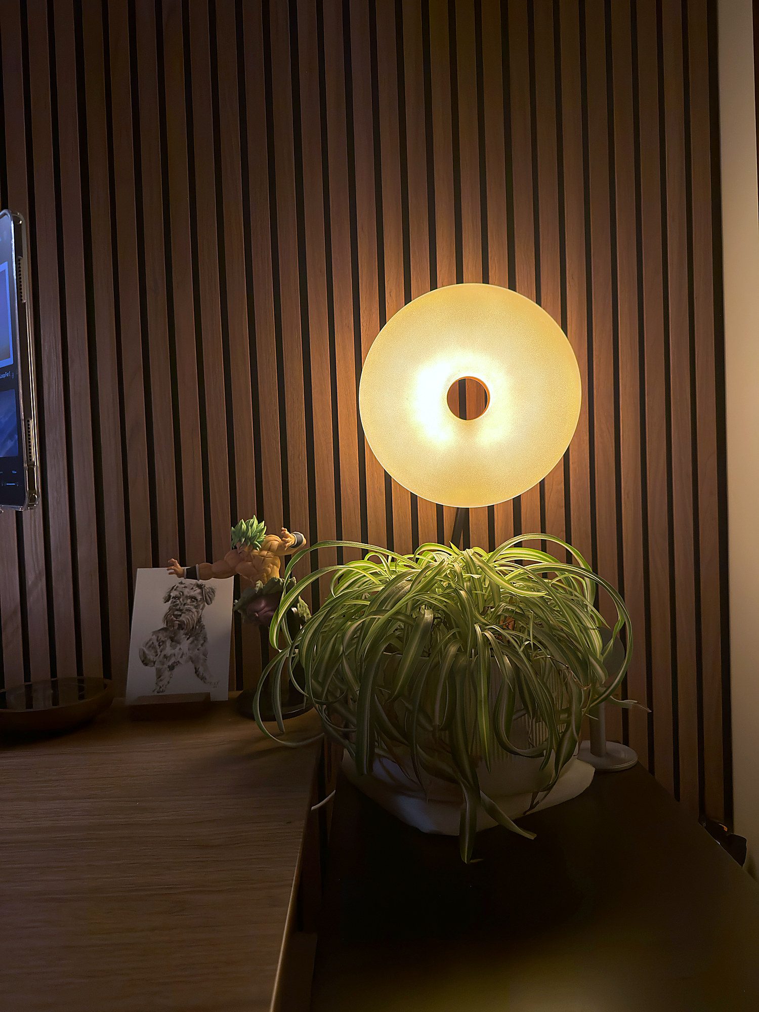 Desk corner with a warm diffuser lamp, plant and personal items against a wood slat wall